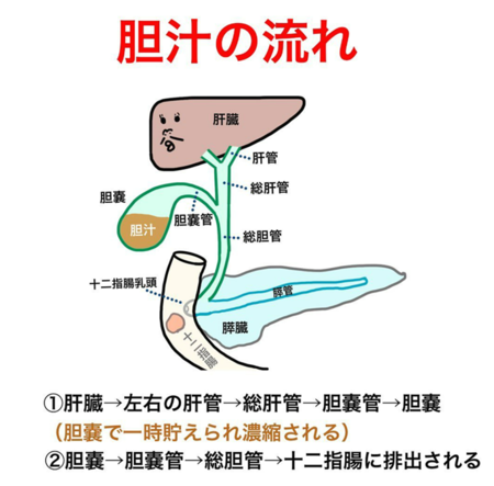 グラフィックス2.png