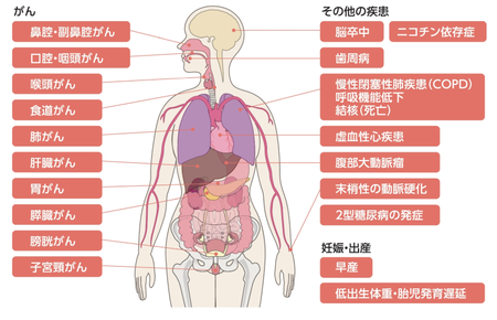 グラフィックス1.png