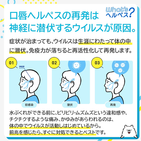 グラフィックス1.png