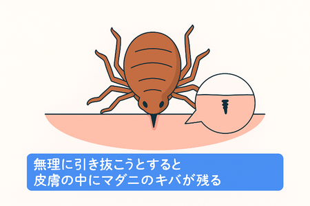 グラフィックス2.png