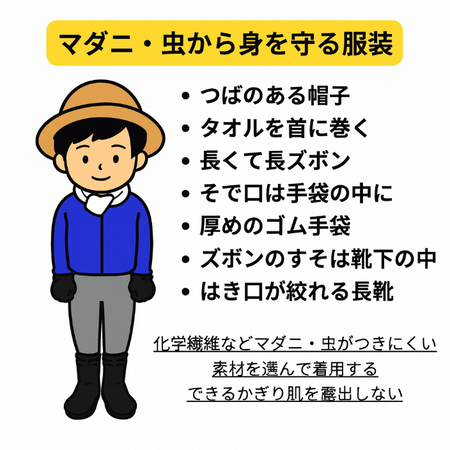 グラフィックス1.png