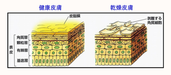 画像1.png